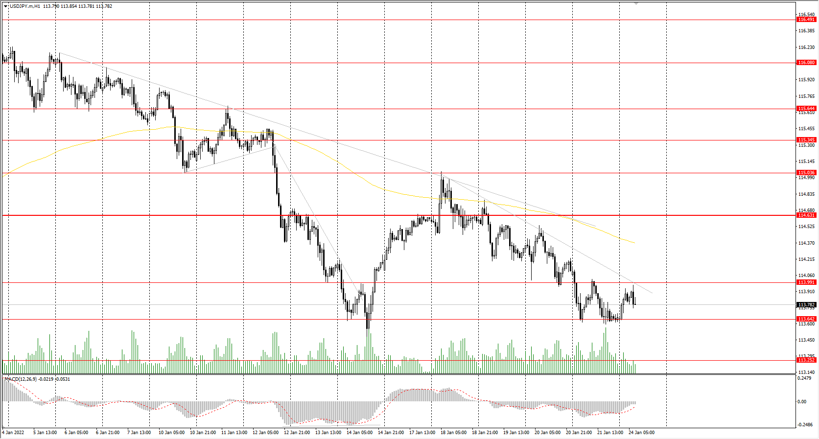  The USD/JPY currency pair 