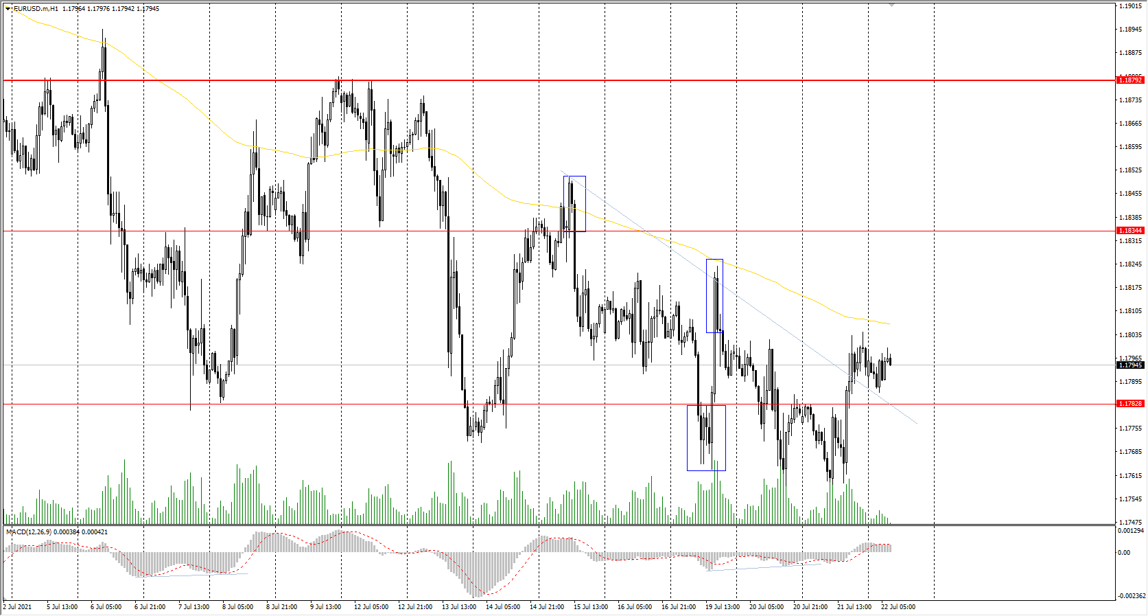  The EUR/USD currency pair 