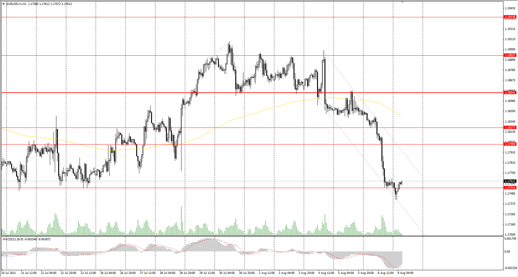 The EUR/USD currency pair sharply fell by 0.60% and broke through the priority change level with the release of the non-farm news on Friday. The European currency has gained an extremely weak position now. There are no important events scheduled in Europe until the end of August (vacation season), so it’s the US policy that will mainly influence the European currency.