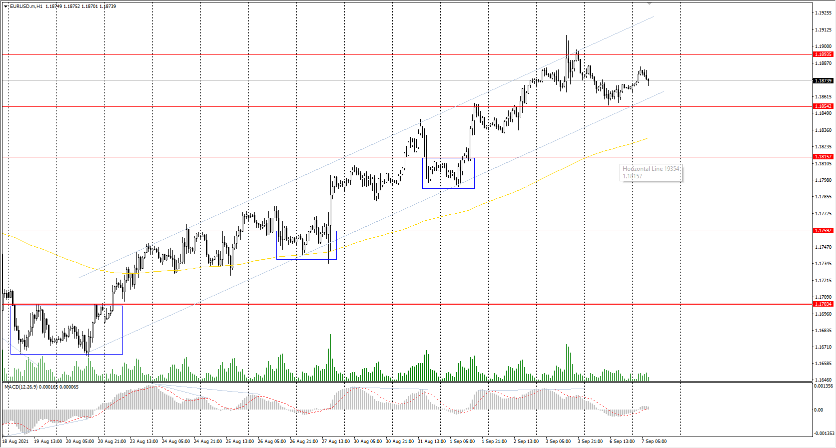  The EUR/USD currency pair 