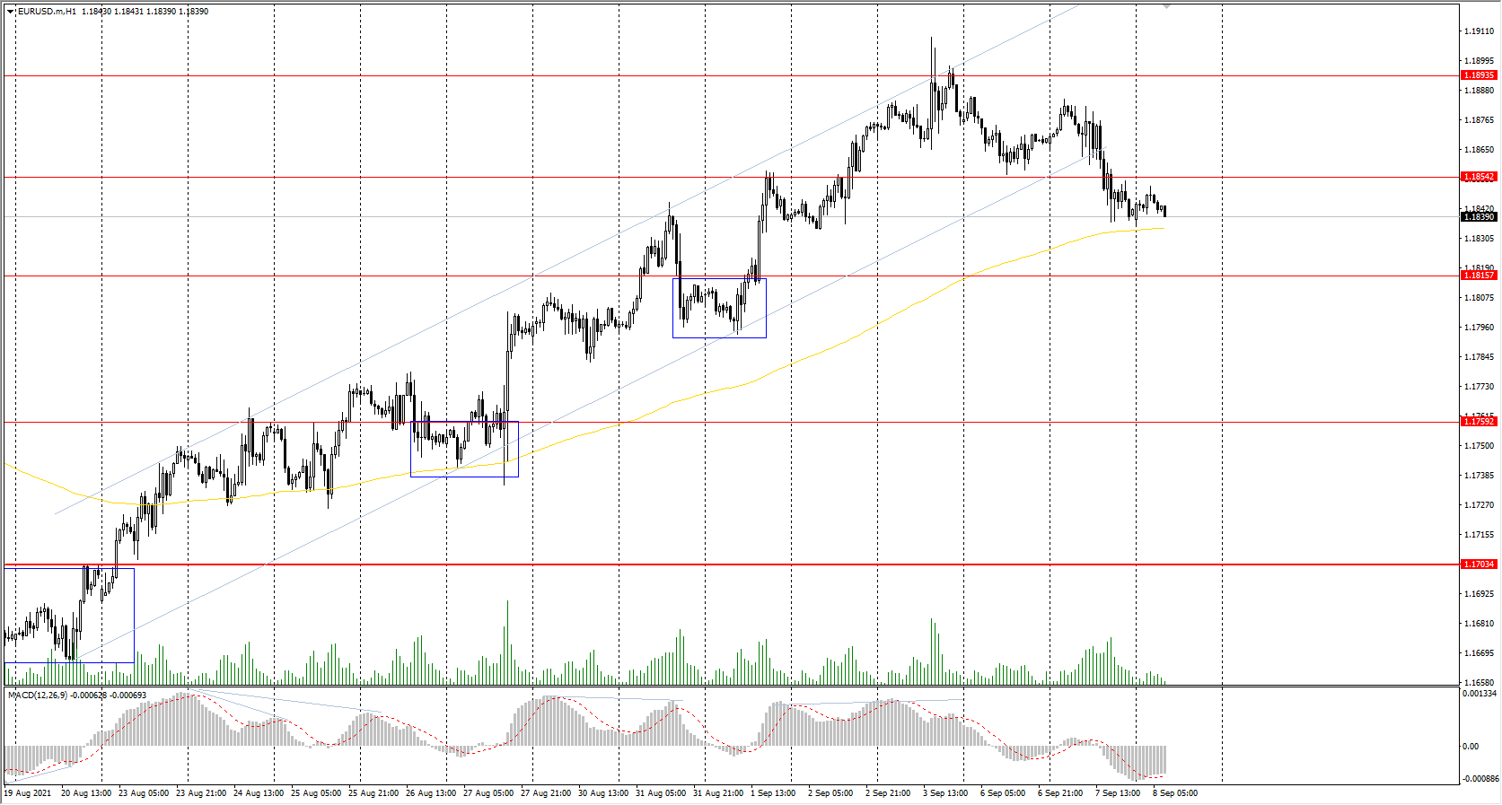  The EUR/USD currency pair 