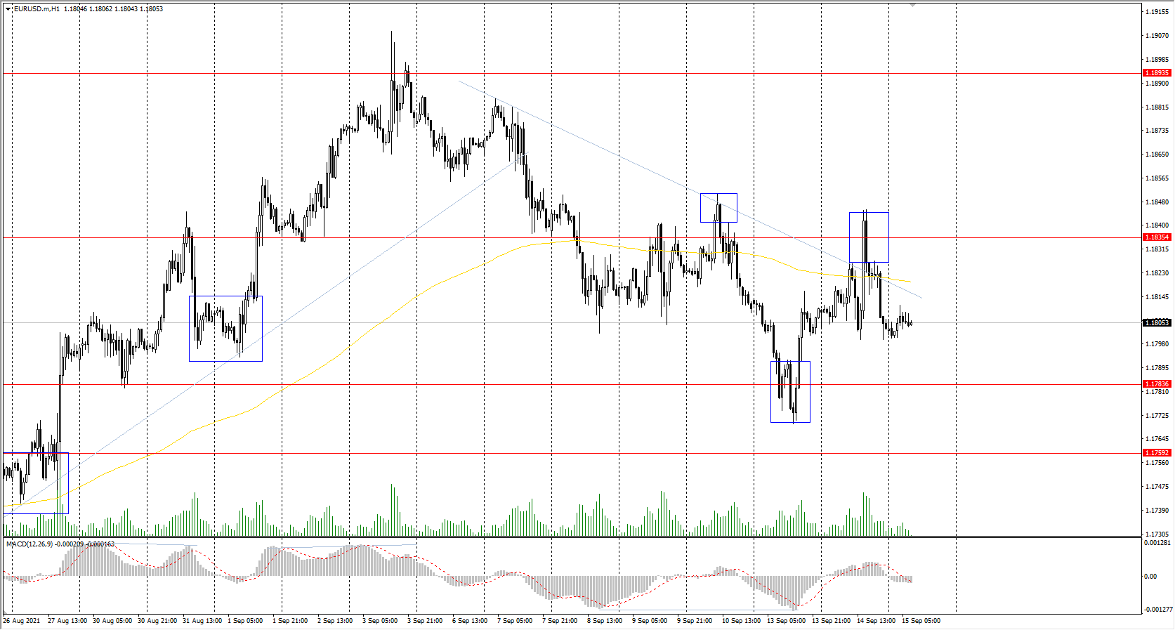  The EUR/USD currency pair 