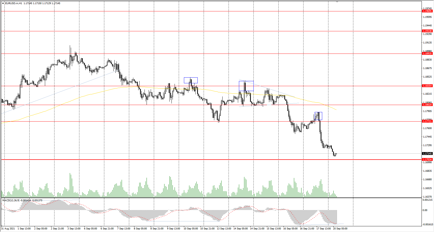  The EUR/USD currency pair 