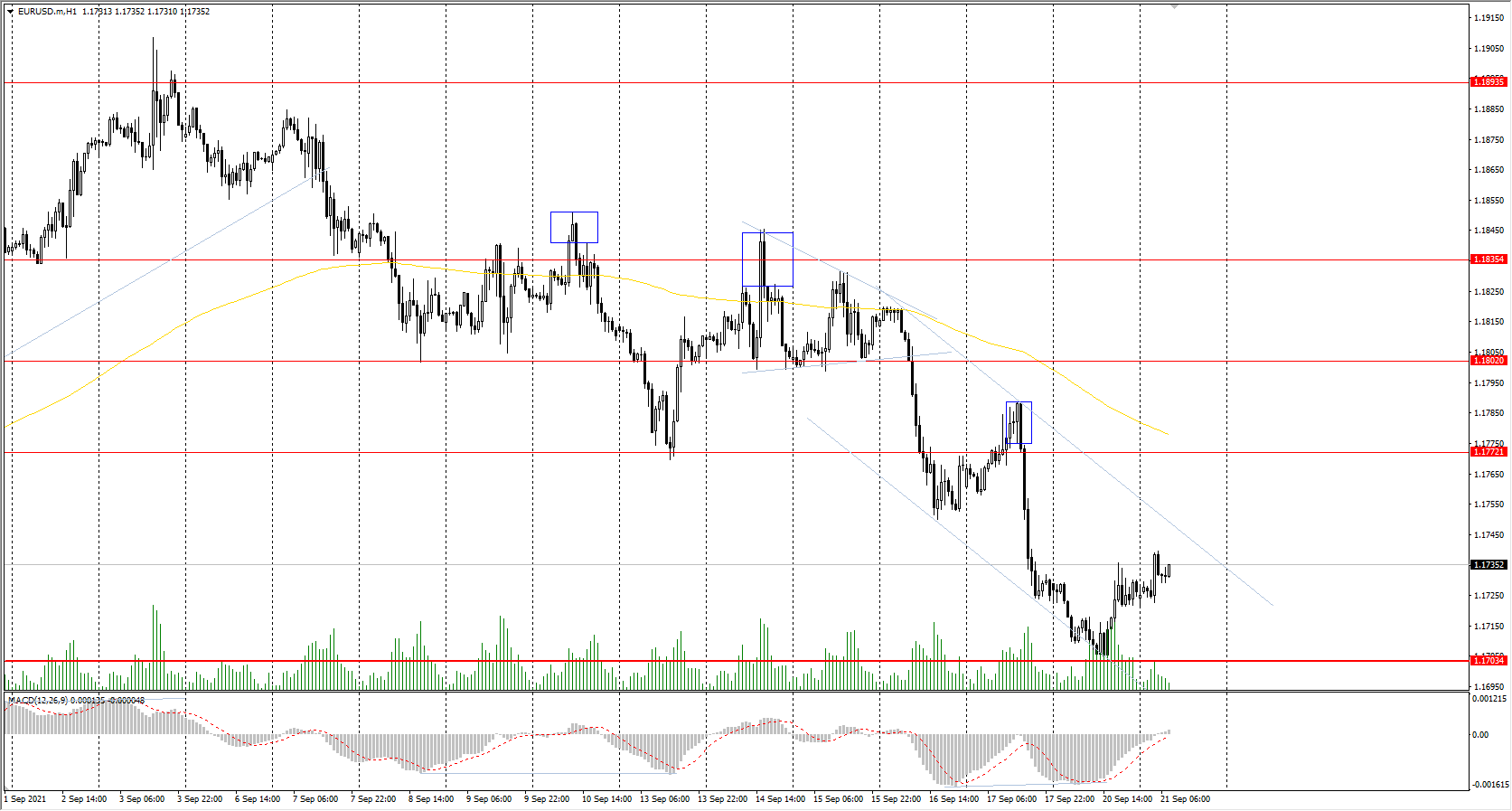  The EUR/USD currency pair 
