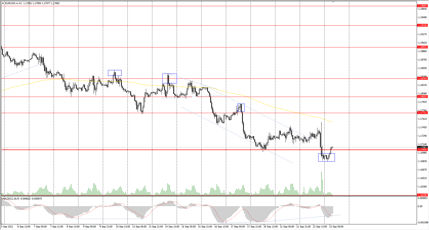  The EUR/USD currency pair 