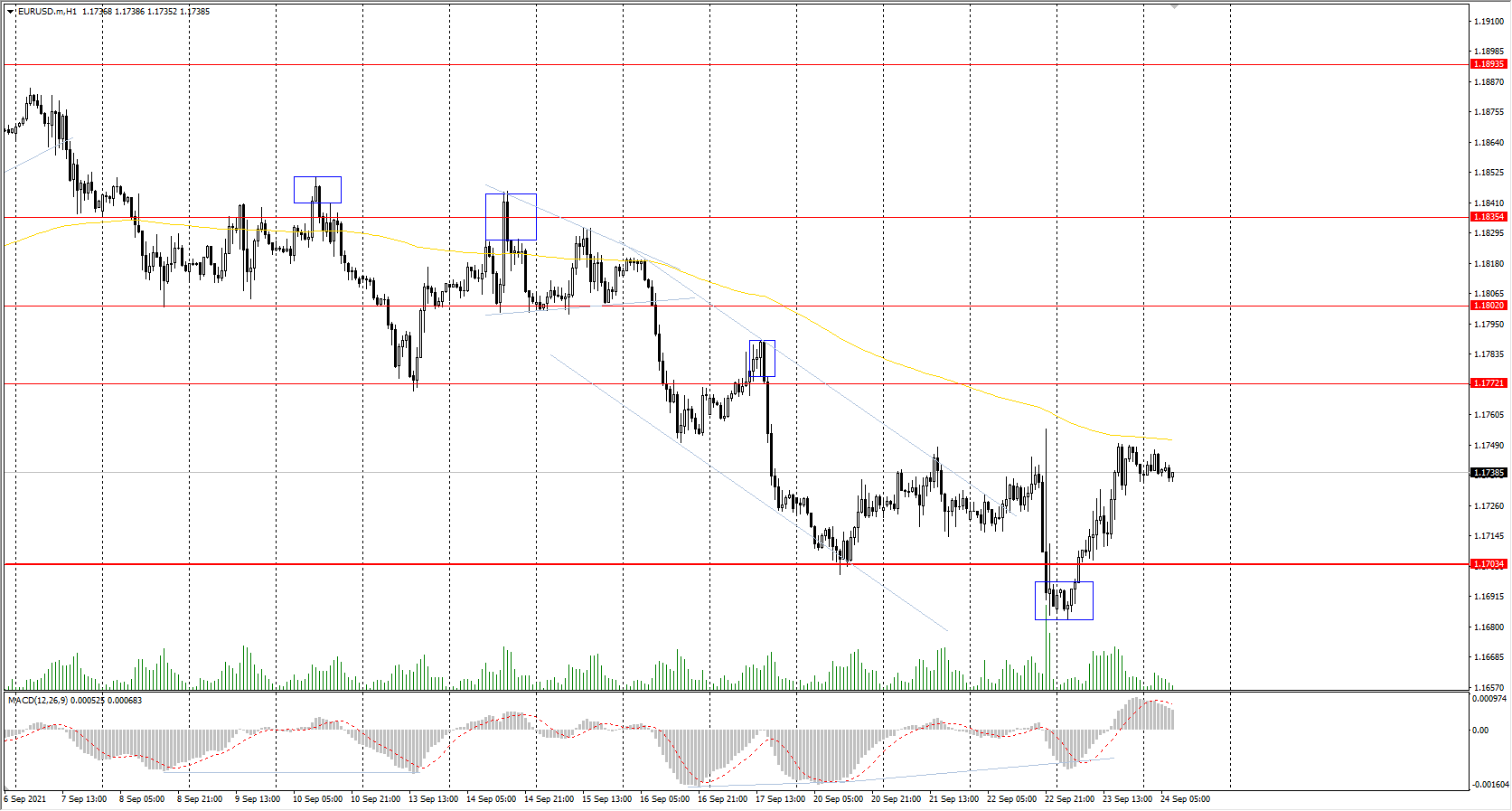  The EUR/USD currency pair 