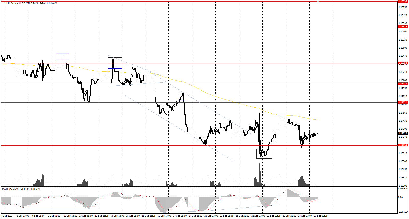  The EUR/USD currency pair 
