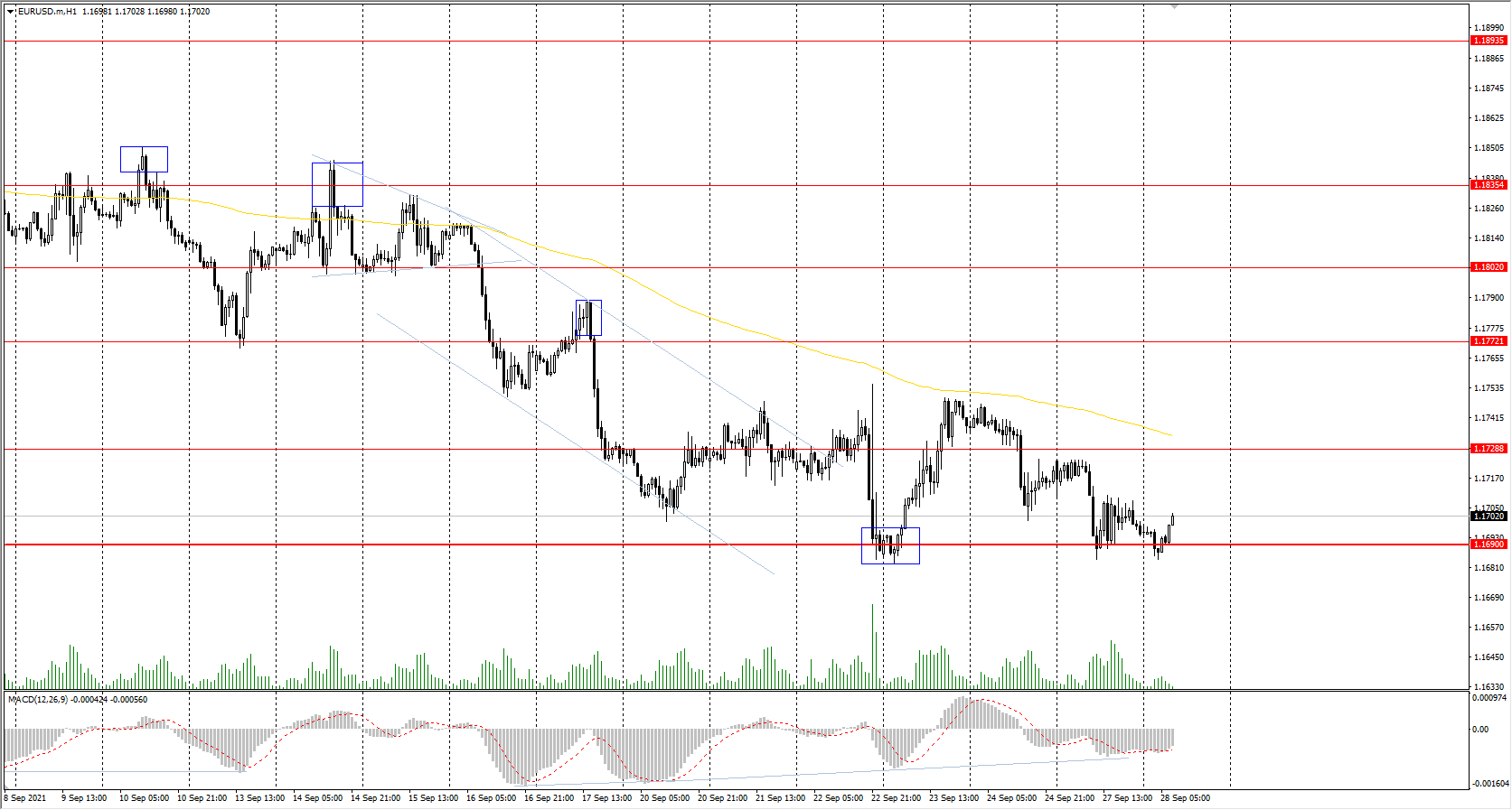  The EUR/USD currency pair 