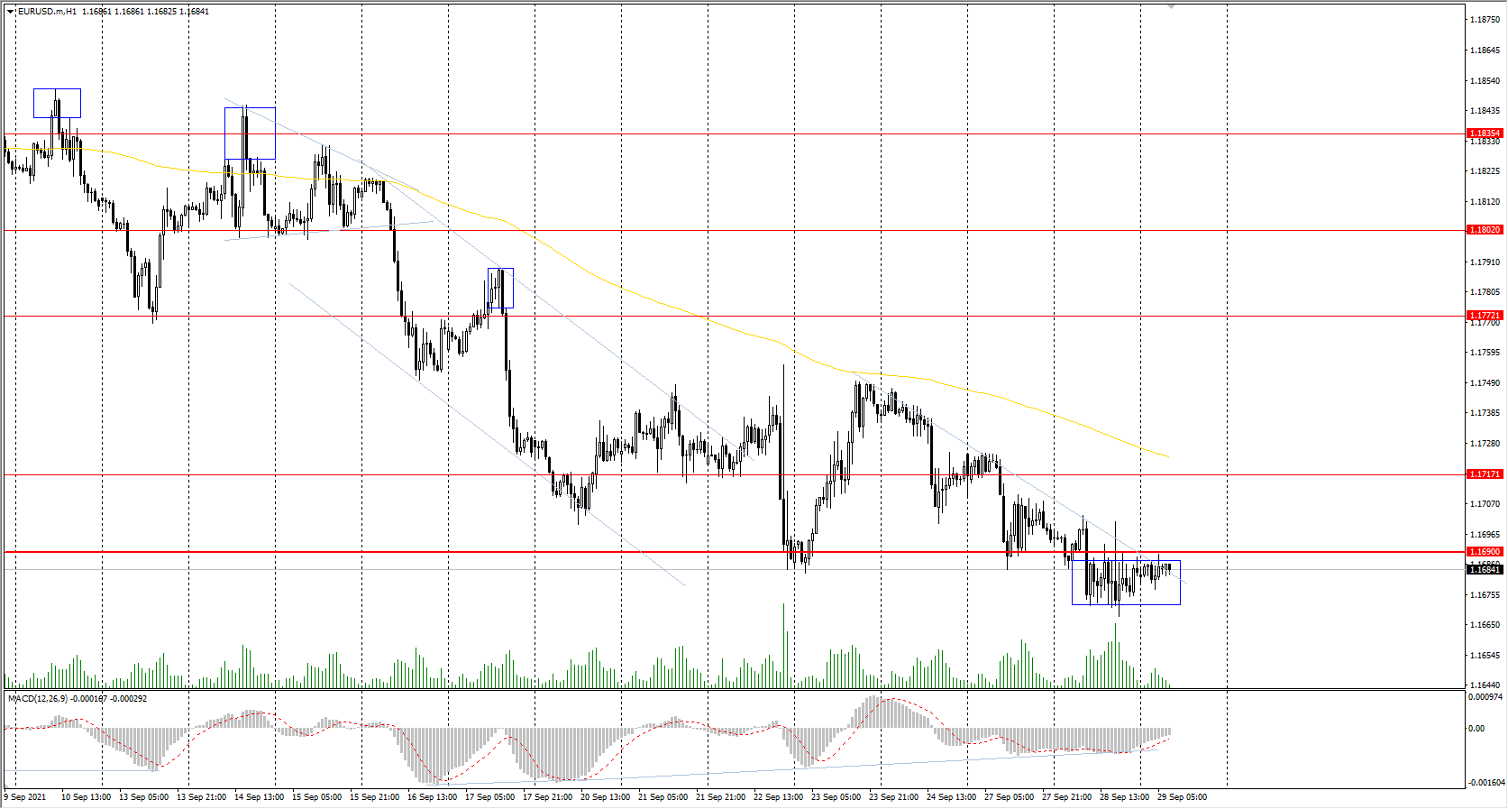  The EUR/USD currency pair 