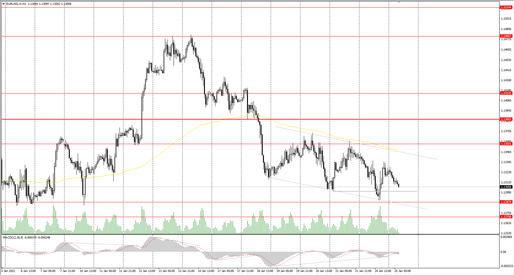 The EUR/USD currency pair 
