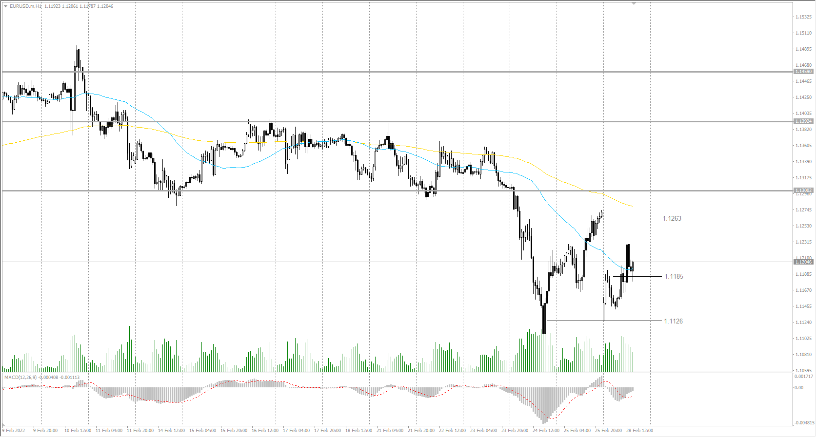  The EUR/USD currency pair 