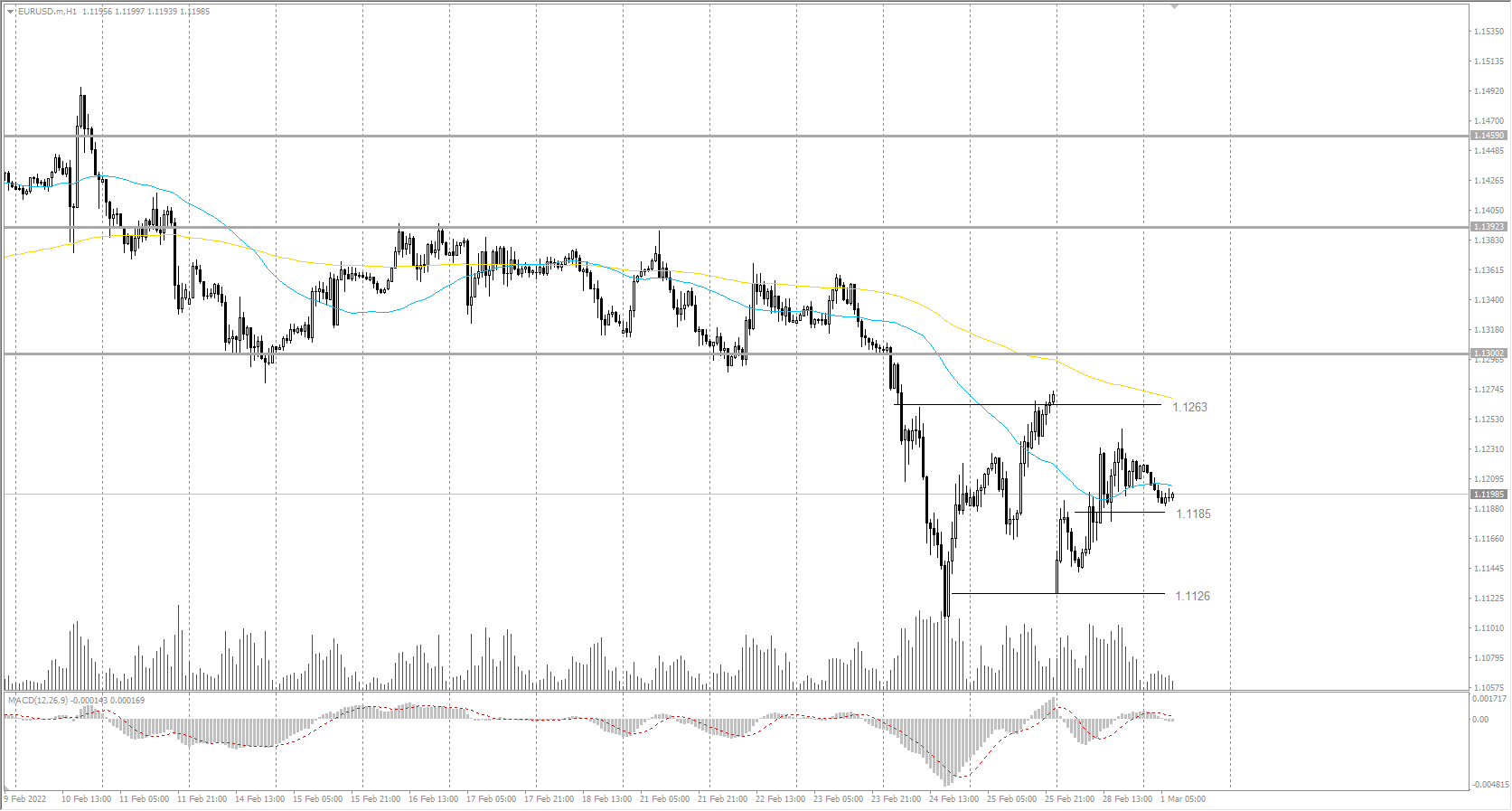  The EUR/USD currency pair 