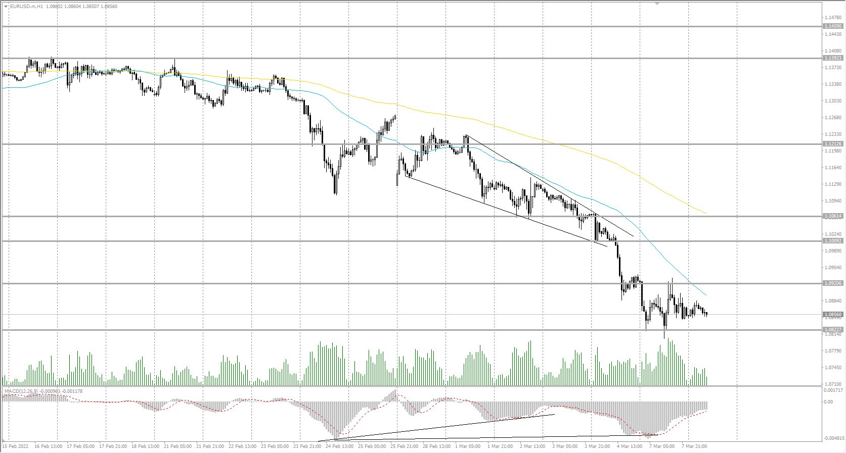  The EUR/USD currency pair 