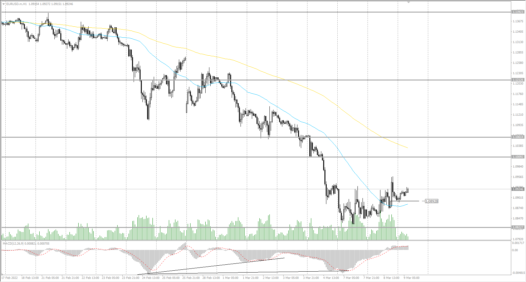  The EUR/USD currency pair 