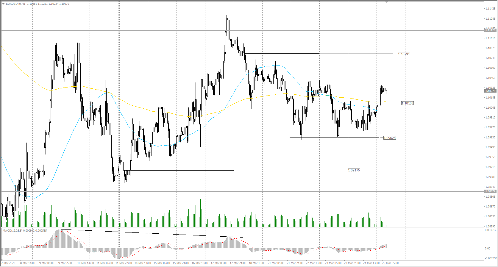  The EUR/USD currency pair 