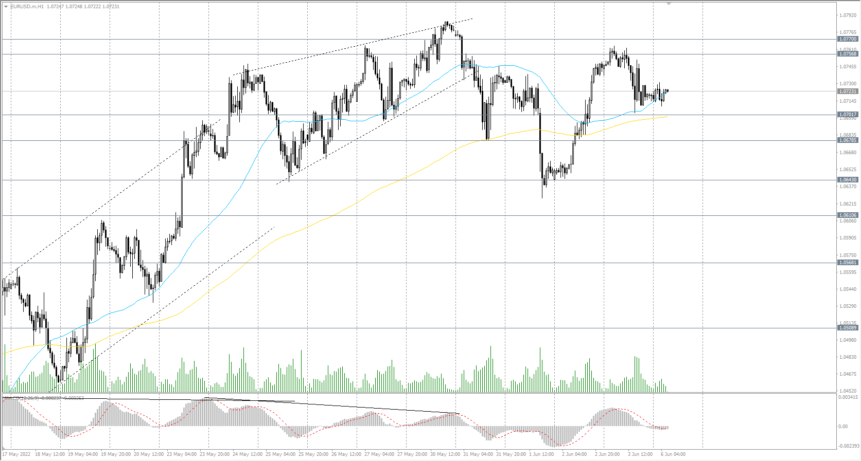  The EUR/USD currency pair 