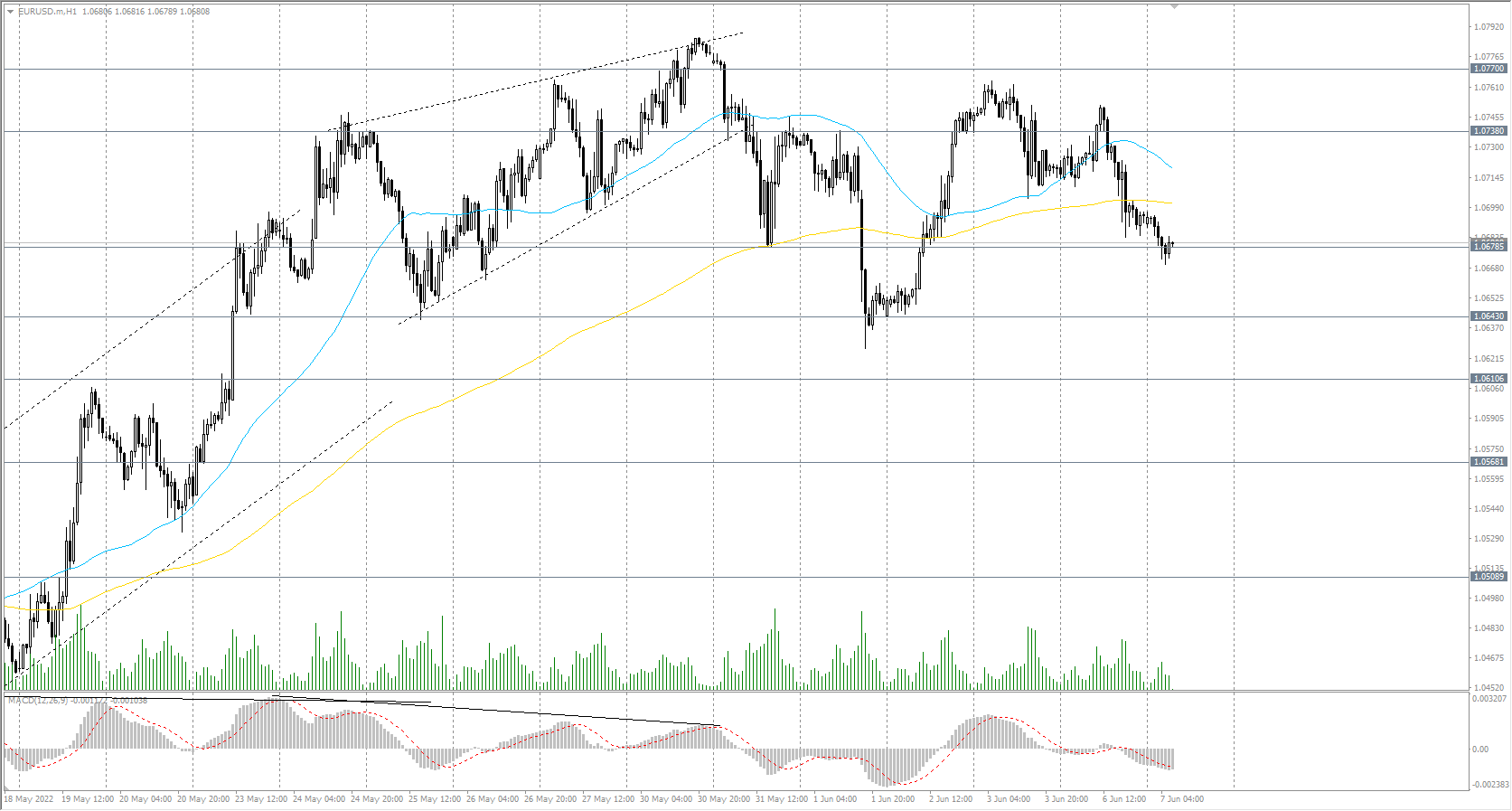  The EUR/USD currency pair 