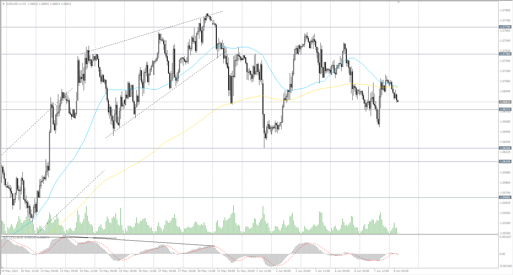  The EUR/USD currency pair 