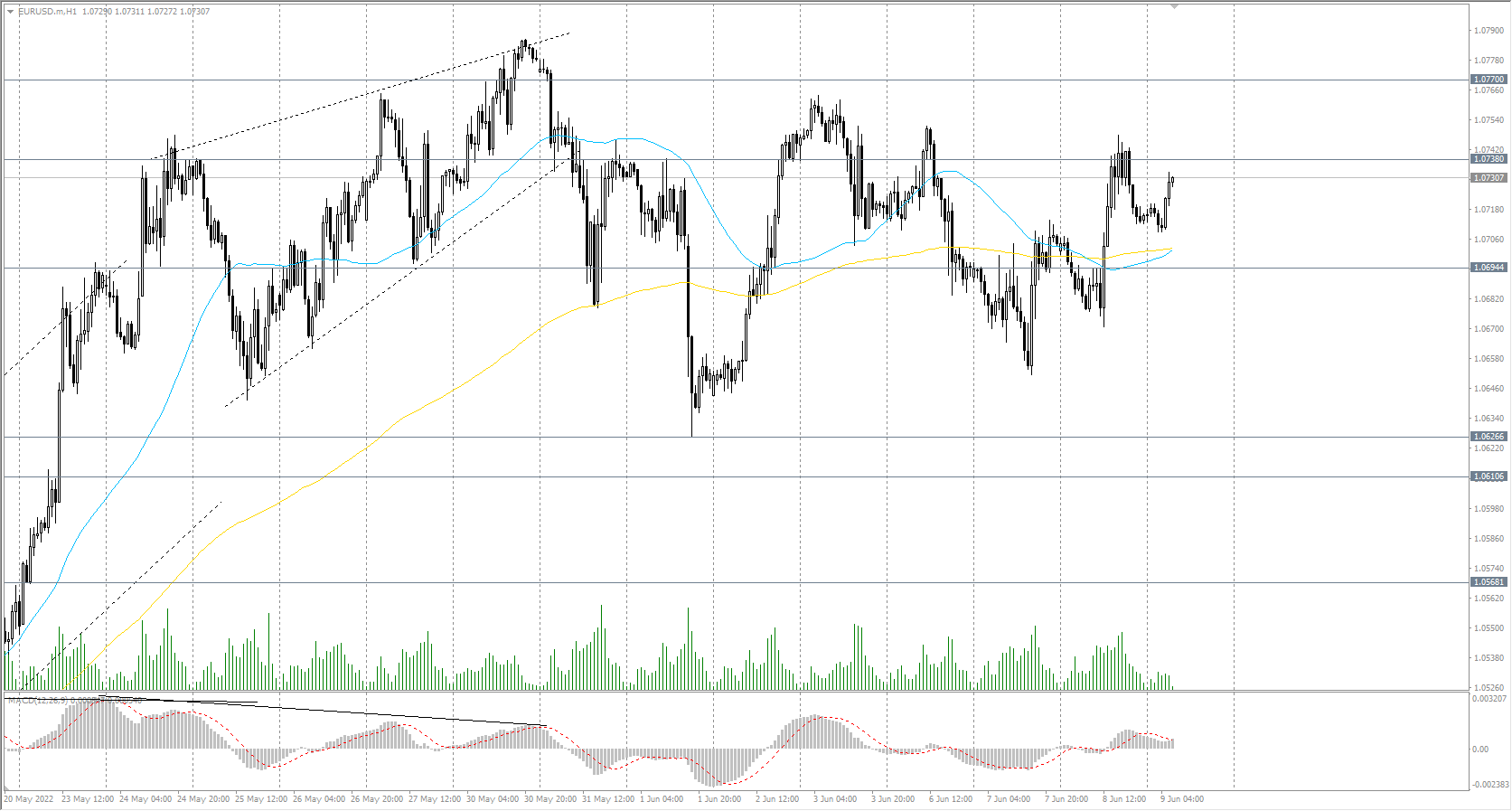  The EUR/USD currency pair 