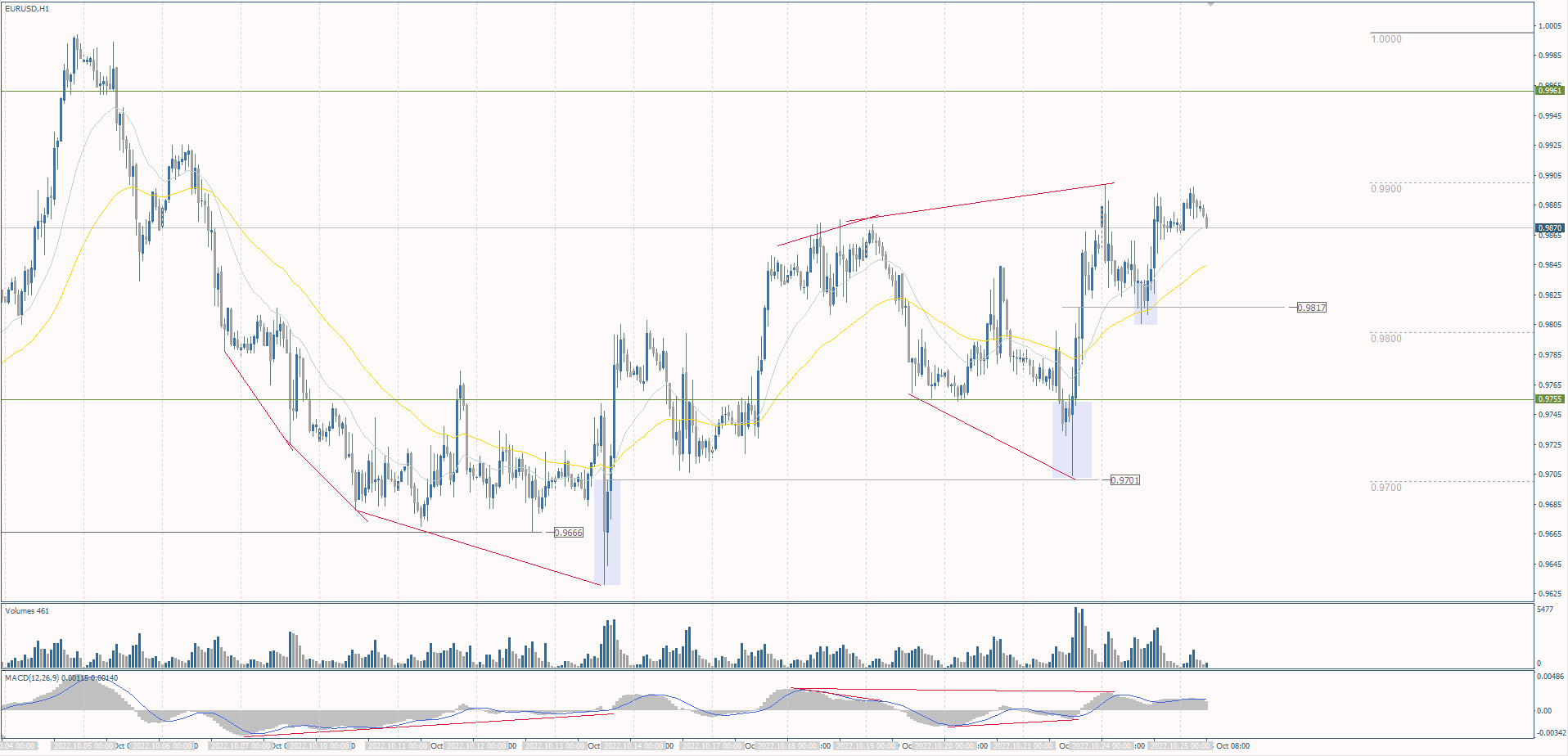  The EUR/USD currency pair 