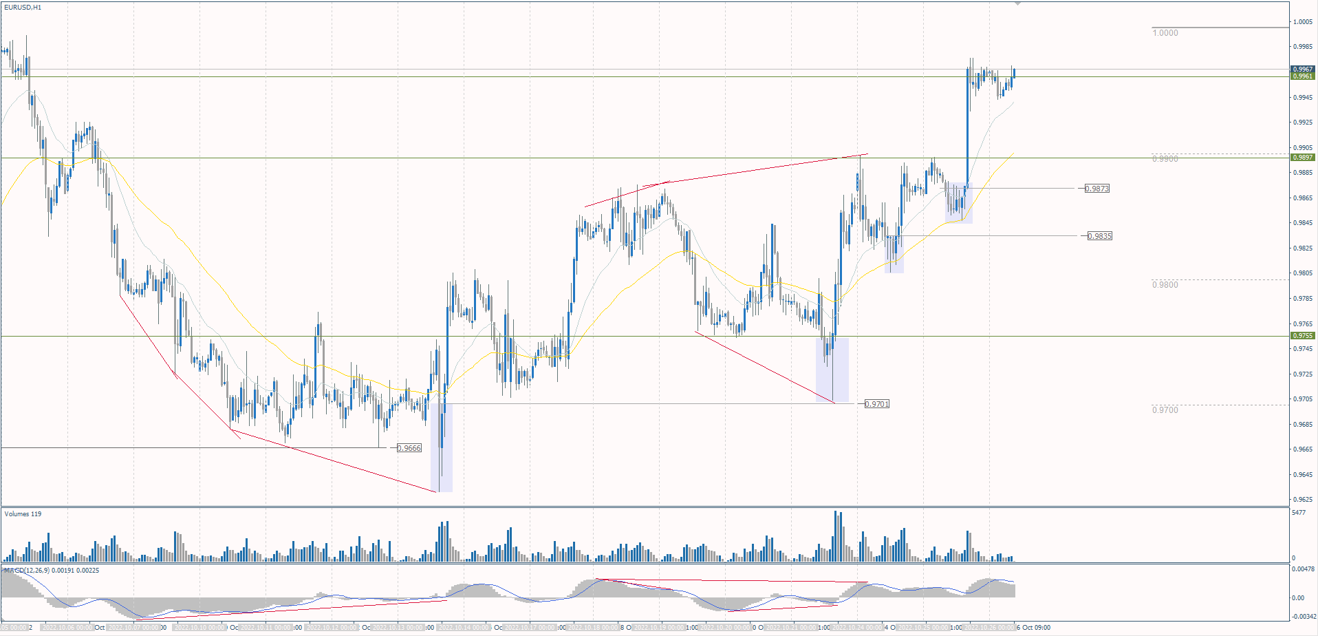  The EUR/USD currency pair 
