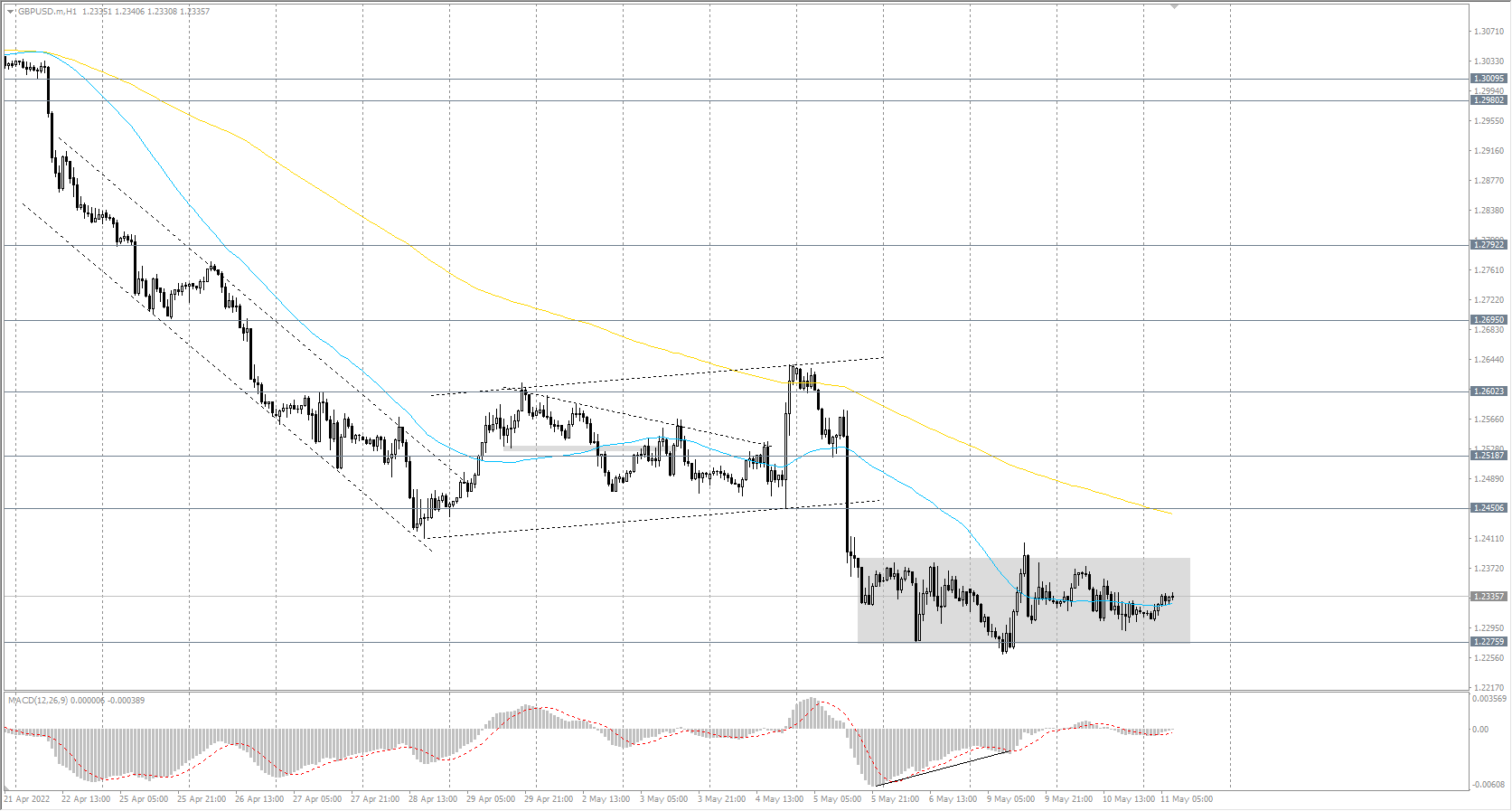  The GBP/USD currency pair 