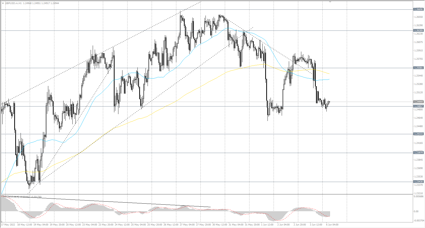  The GBP/USD currency pair trend is bullish on the hourly time frame. The MACD indicator is negative again, and sellers' pressure has increased. The price is trading below the levels of the moving averages. Under such market conditions, buy deals may be considered from the support level&#160;of&#160;1.2485, but only with additional confirmation and short targets. Sell deals should be looked for from the resistance level&#160;of&#160;1.2558, but with confirmation. 
