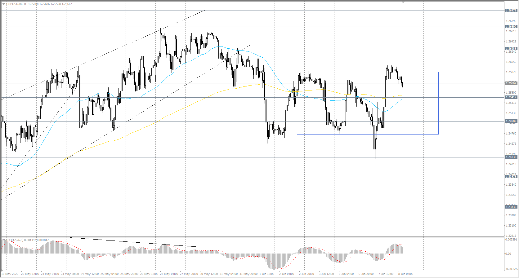  The GBP/USD currency pair trend is bullish on the hourly time frame. The MACD indicator became positive, and the buyers' pressure increased. Yesterday the price sharply rebounded from the priority change level and then fixed above the moving averages. A wide price corridor is forming now. Under such market conditions, buy deals may be considered from the support level&#160;of&#160;1.2541 or 1.2498, but only with additional confirmation and short targets. Sell deals should be looked for from the resistance level&#160;of&#160;1.2628, but with confirmation. 