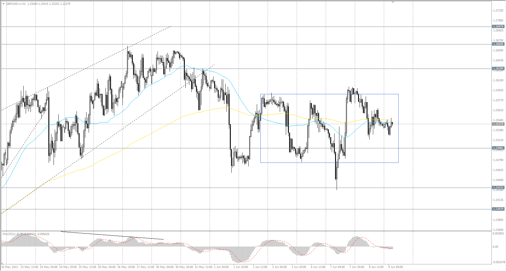  The GBP/USD currency pair trend is bullish on the hourly time frame. The MACD indicator has become inactive, but a slight buying pressure remains. A wide price corridor is forming now. Under such market conditions, buy deals may be considered from the support level of&#160;1.2498, but only with additional confirmation and short targets. Sell deals should be looked for from the resistance level of&#160;1.2628, but with confirmation. 