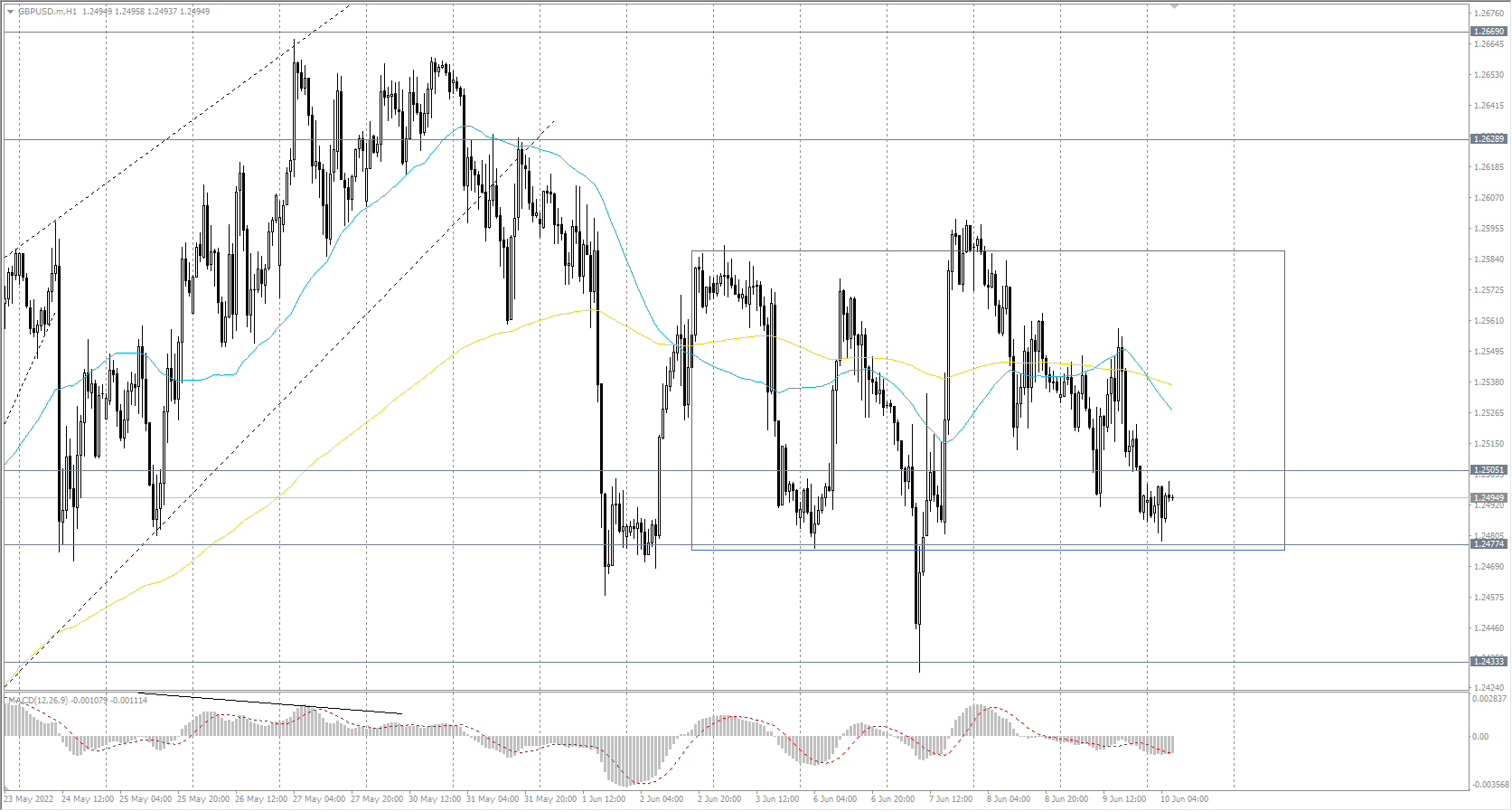  The GBP/USD currency pair trend is bullish on the hourly time frame. The MACD indicator became negative, and a slight seller’s pressure is still present. A wide price corridor is forming now, and the price is trading on its lower boundary. Under such market conditions, buy deals may be considered from the support level of&#160;1.2477, but only with additional confirmation and short targets. Sell deals should be looked for from the resistance level of&#160;1.2505, but with confirmation. 