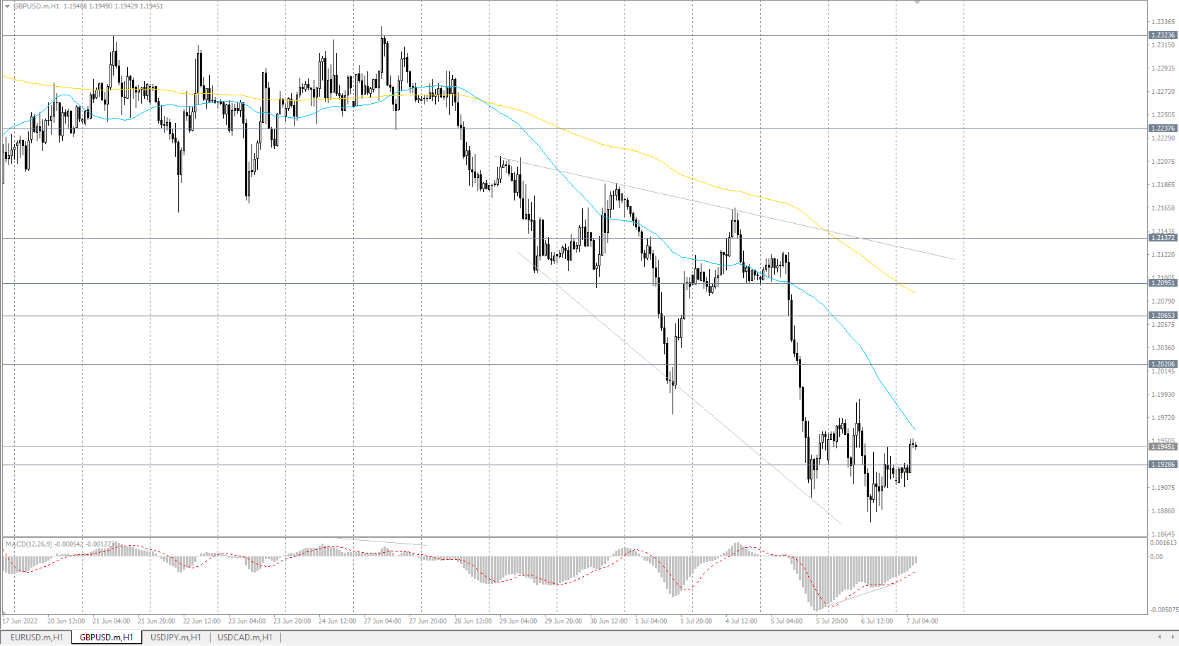  The GBP/USD currency pair 