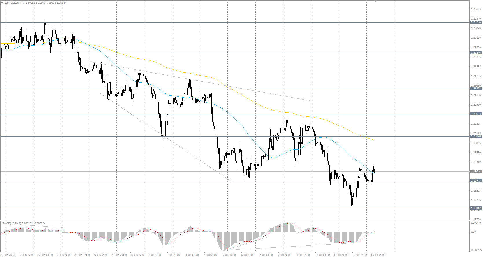  The GBP/USD currency pair 