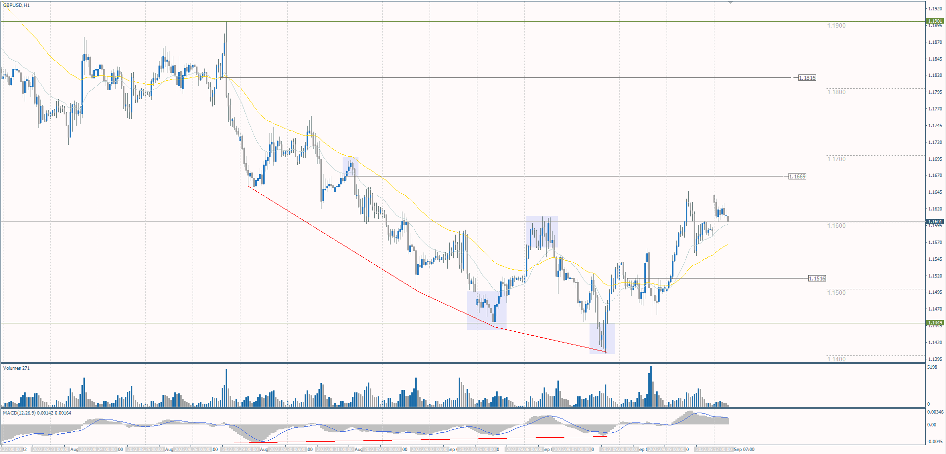  The GBP/USD currency pair 