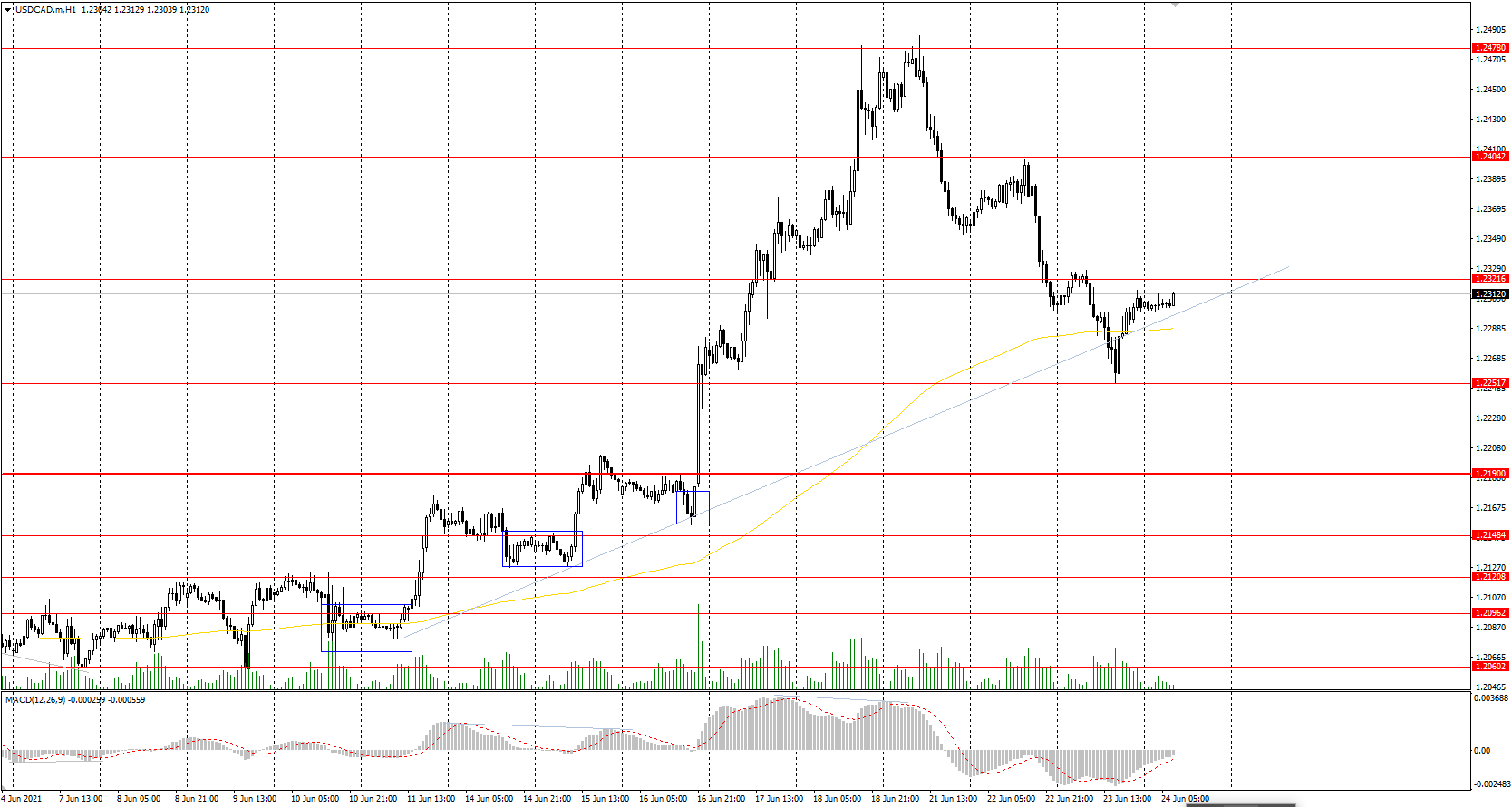  The USD/CAD currency pair 