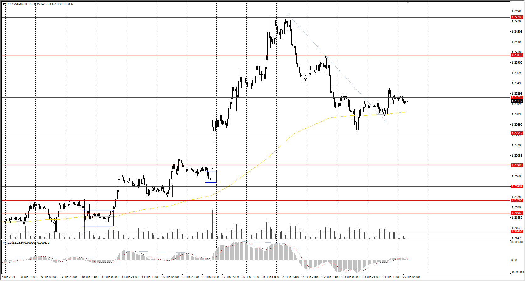  The USD/CAD currency pair 