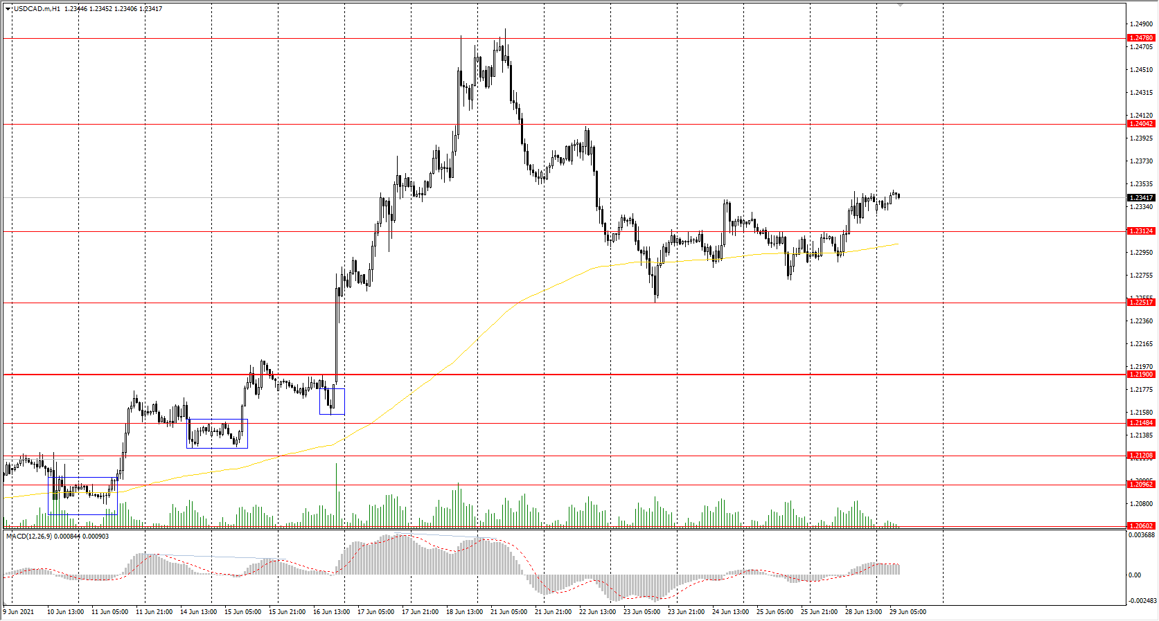  The USD/CAD currency pair 