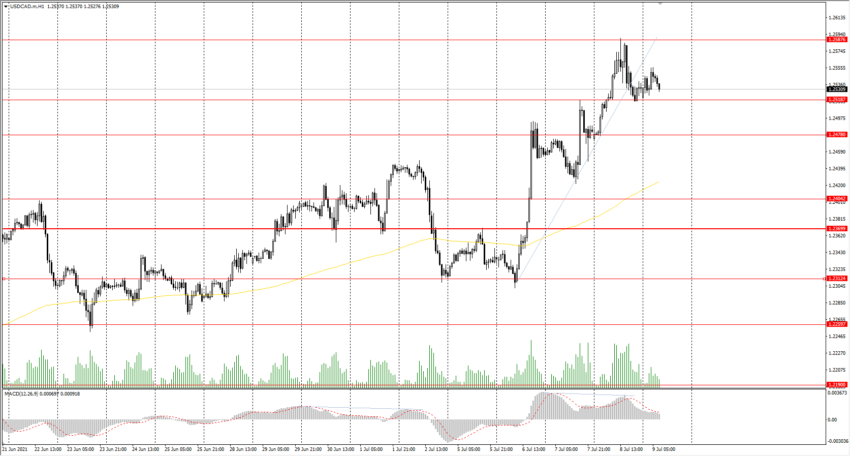  The USD/CAD currency pair 