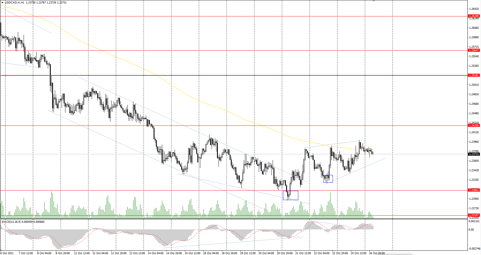  The USD/CAD currency pair 