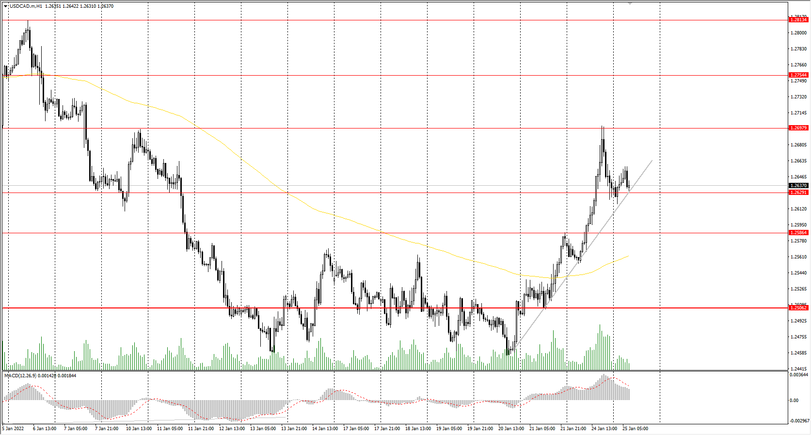  The USD/CAD currency pair 
