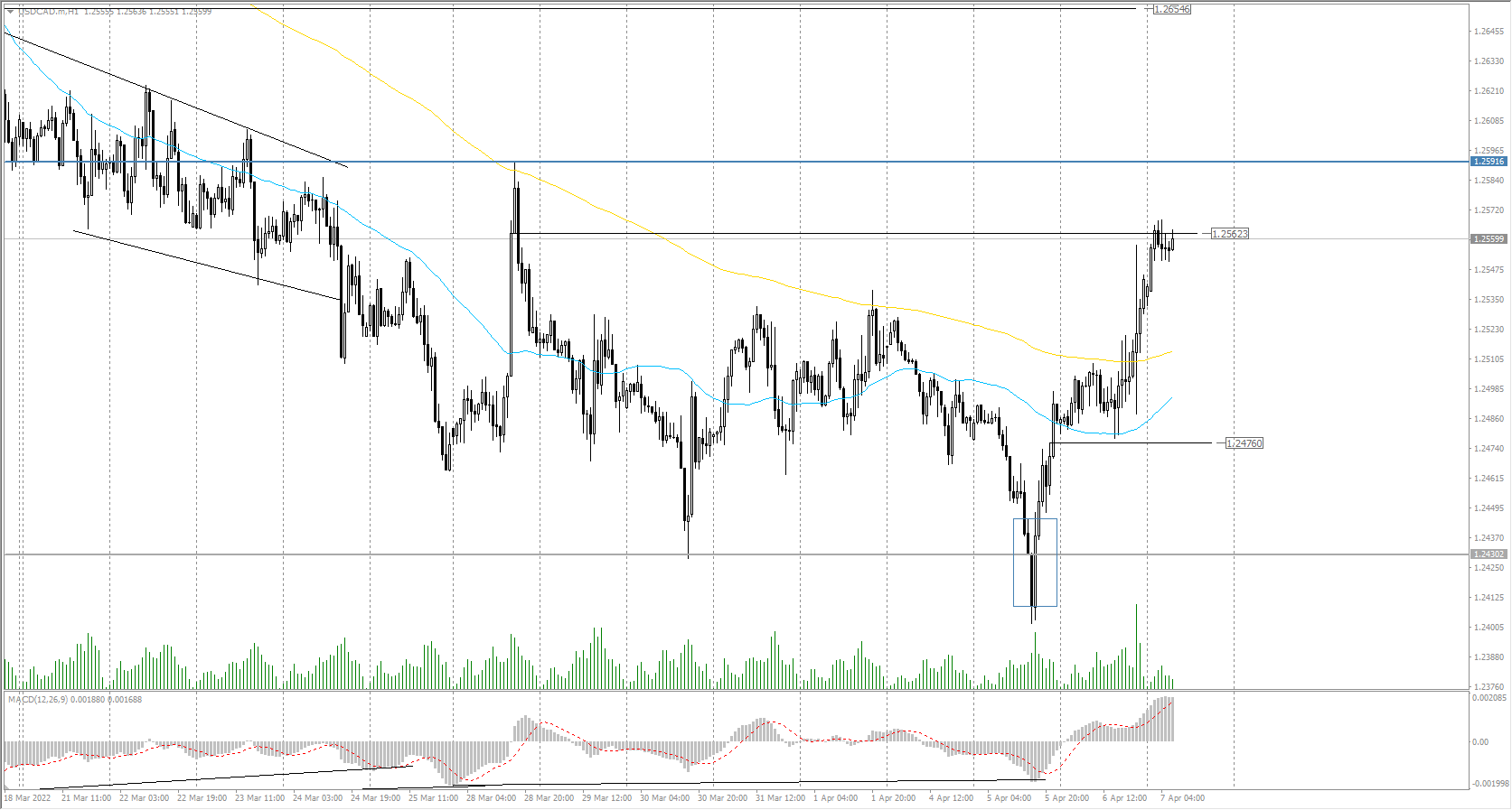  The USD/CAD currency pair 