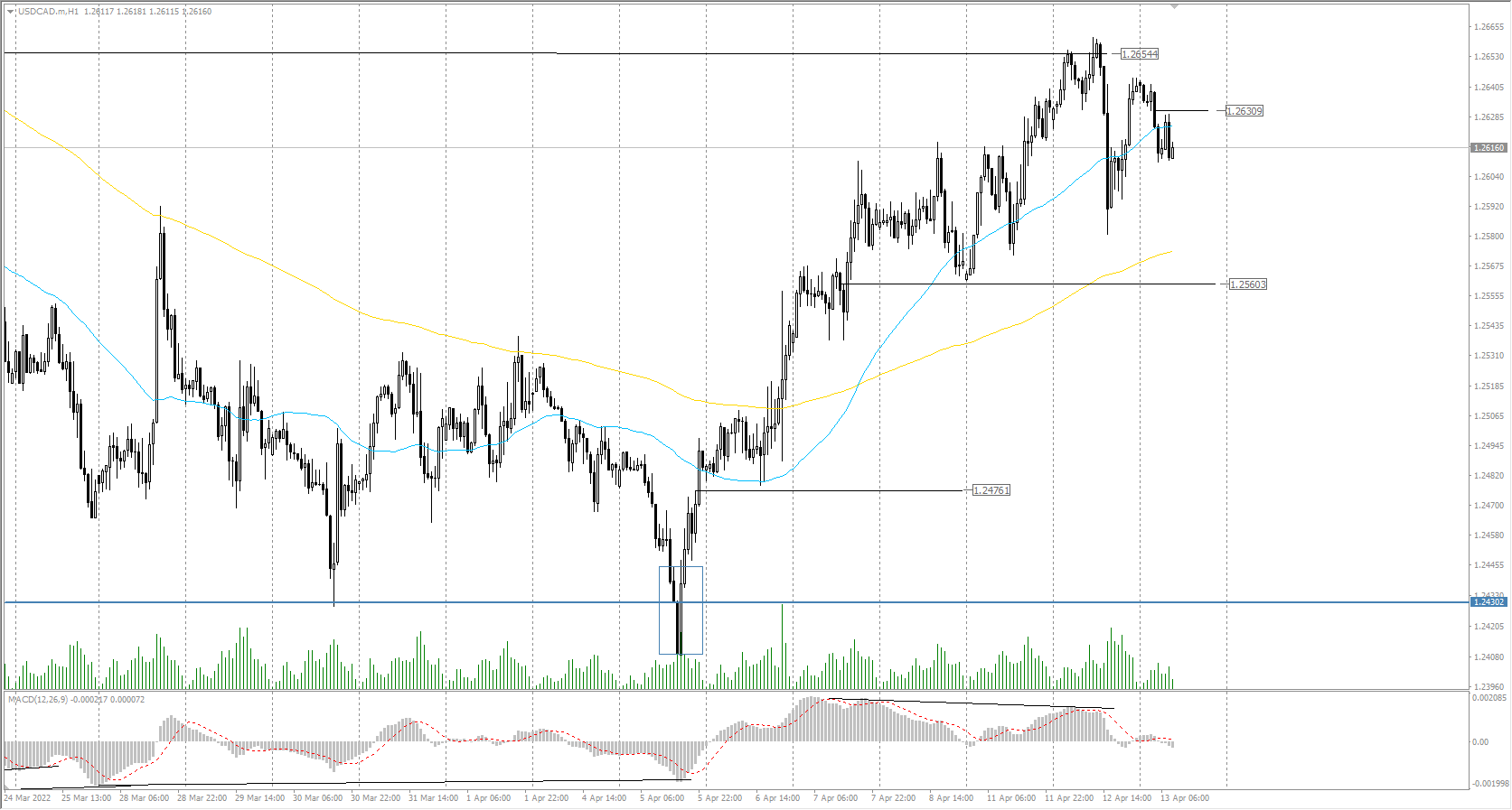  The USD/CAD currency pair 