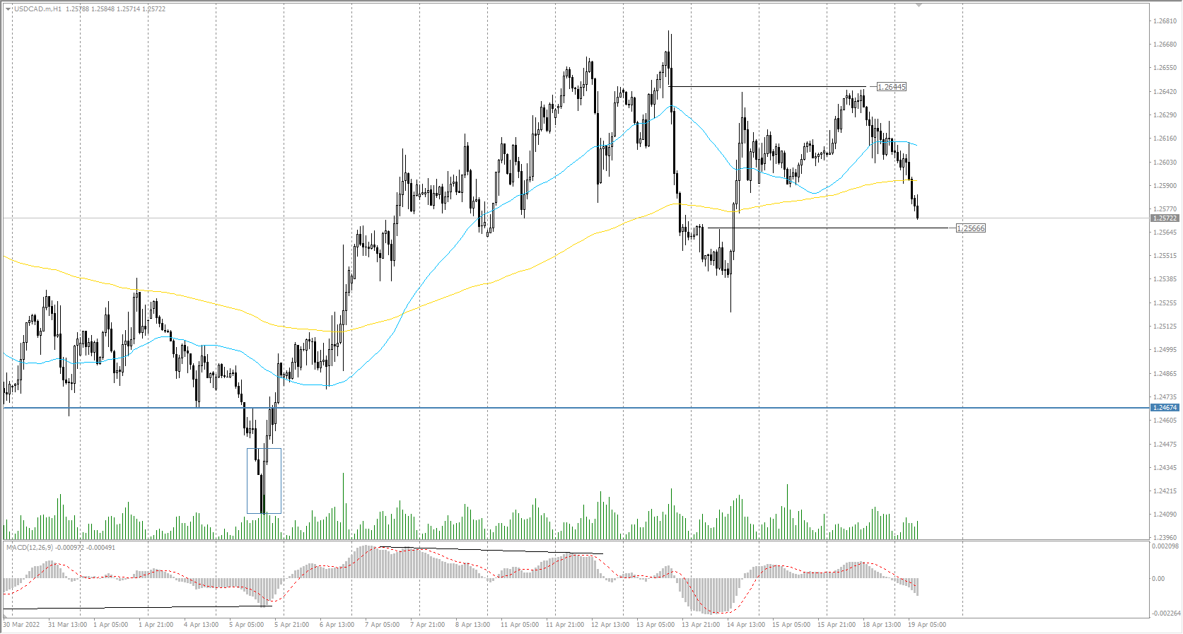 The USD/CAD currency pair 
