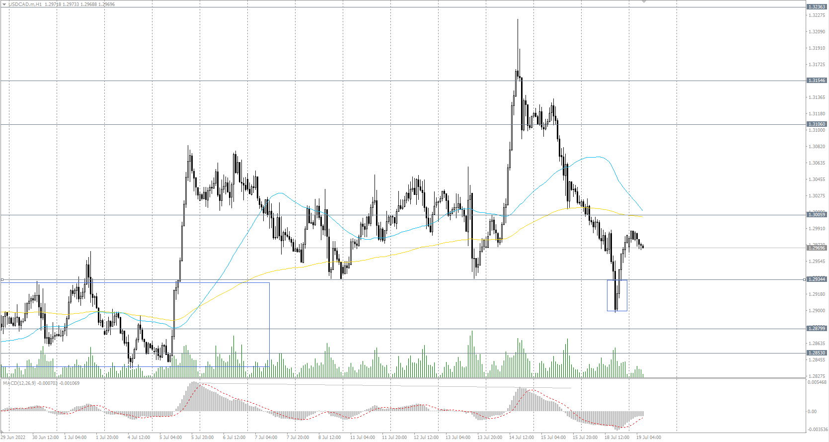 The USD/CAD currency pair 