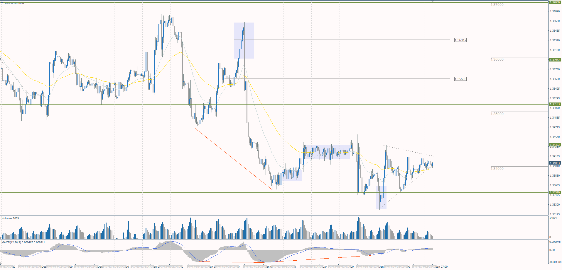 The USD/CAD currency pair