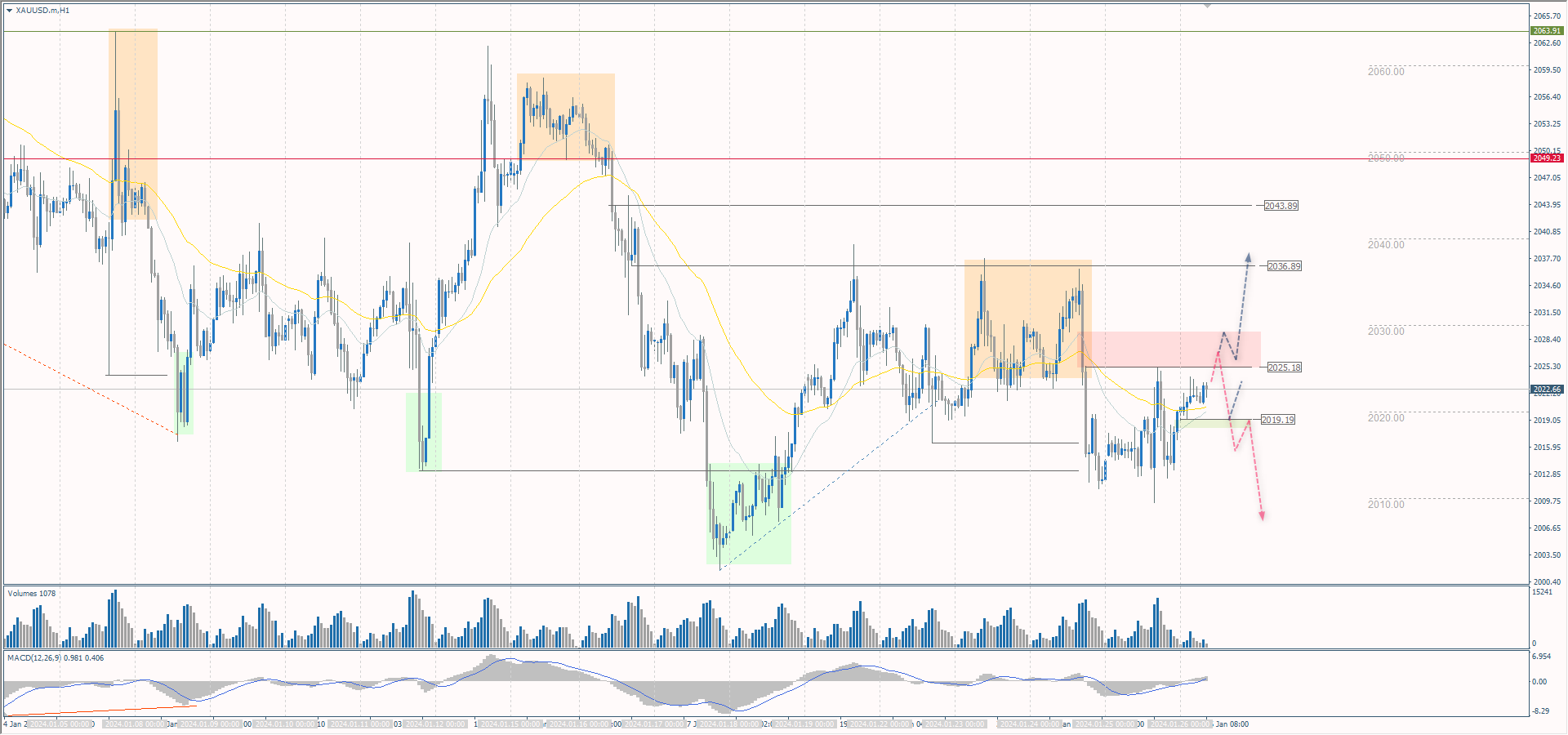 The XAU/USD currency pair (gold)