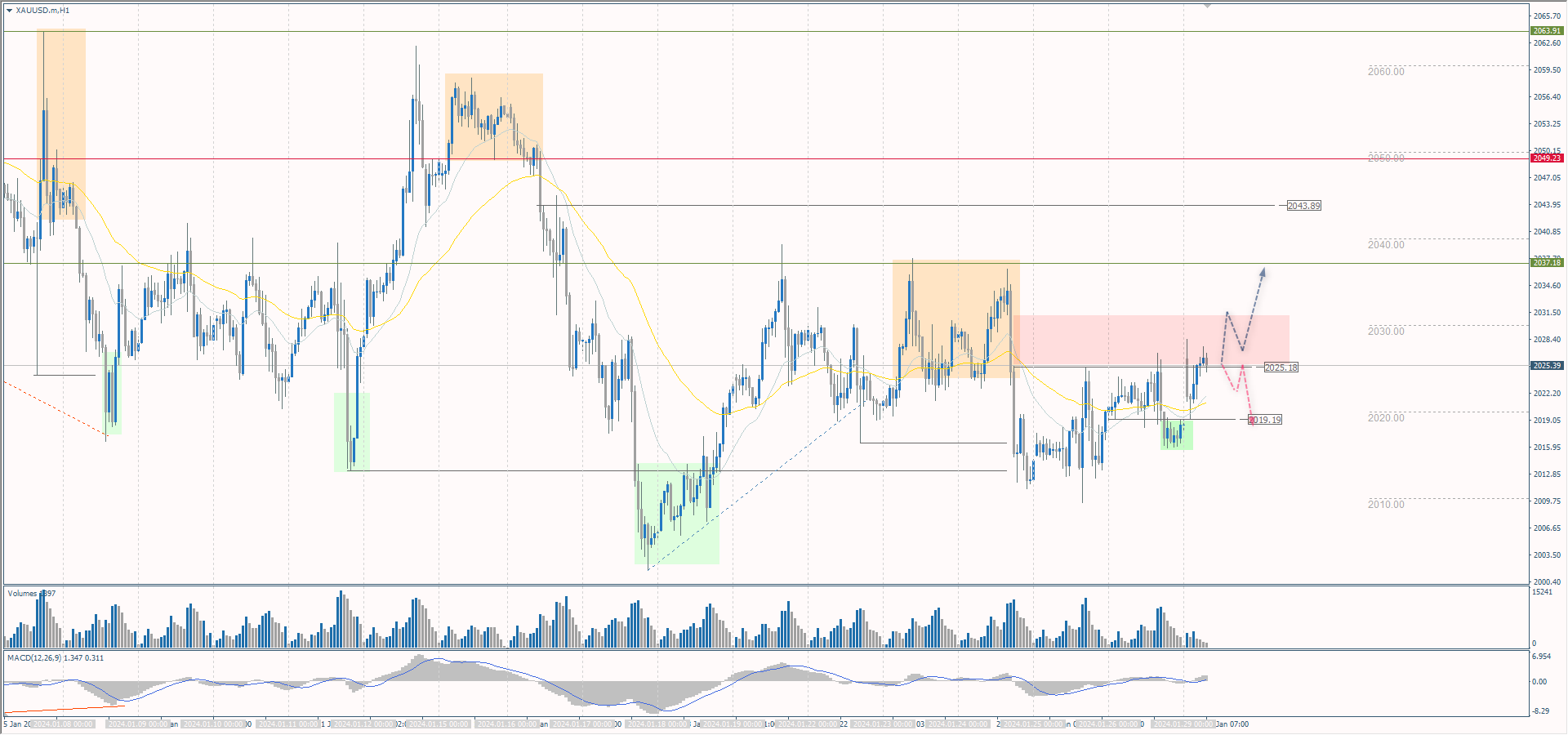 The XAU/USD currency pair (gold)