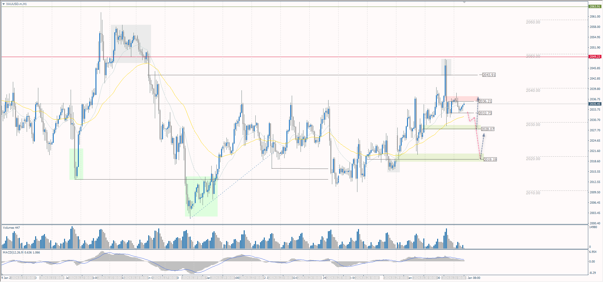 The XAU/USD currency pair (gold)