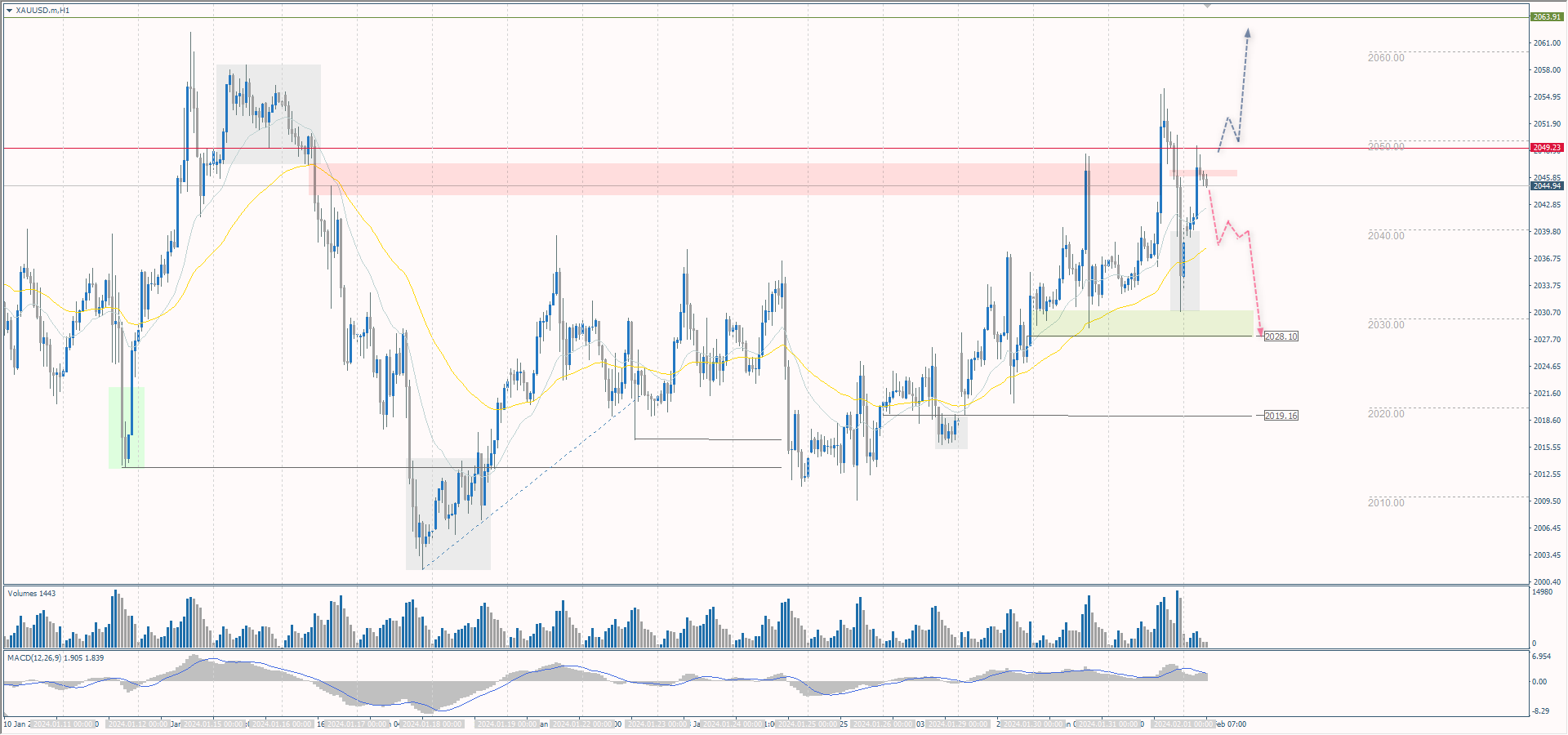 The XAU/USD currency pair (gold)