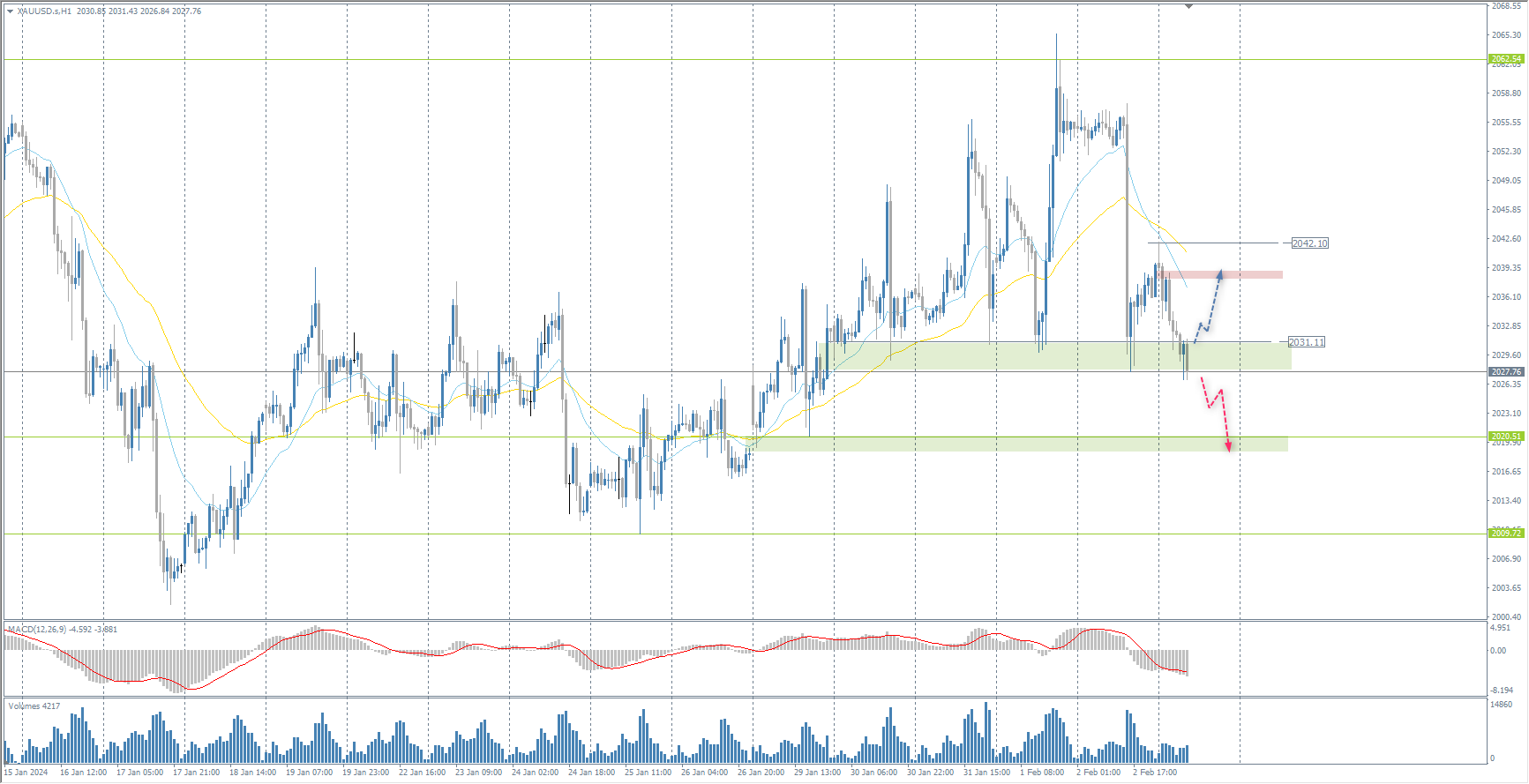 The XAU/USD currency pair (gold)