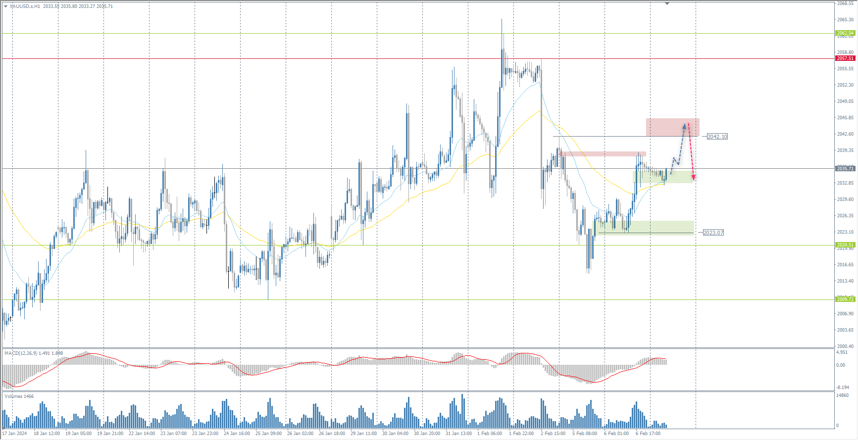 The XAU/USD currency pair (gold)